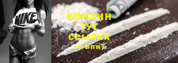 соль ск Инта