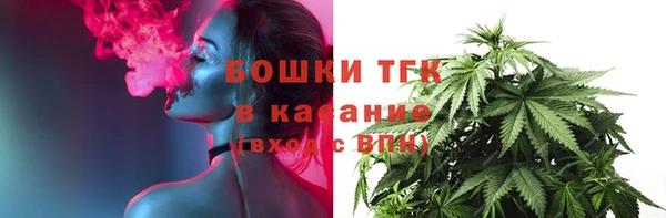 ГАЛЛЮЦИНОГЕННЫЕ ГРИБЫ Иннополис