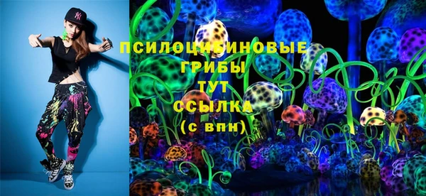 соль ск Инта