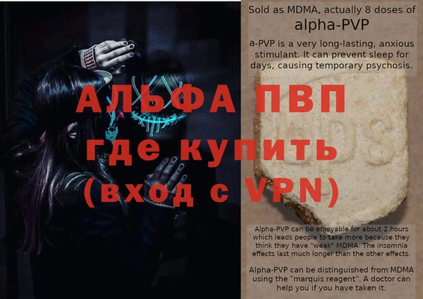 ГАЛЛЮЦИНОГЕННЫЕ ГРИБЫ Иннополис