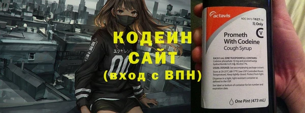 соль ск Инта