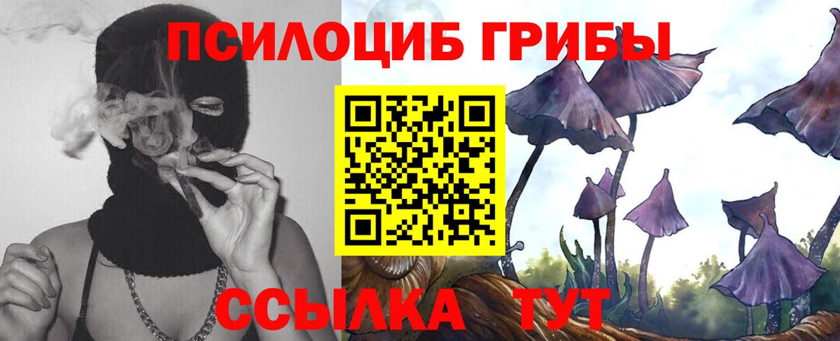 Ивантеевка  Псилоцибиновые грибы Cubensis  Псилоцибиновые грибы ЛСД  Вход с VPN 